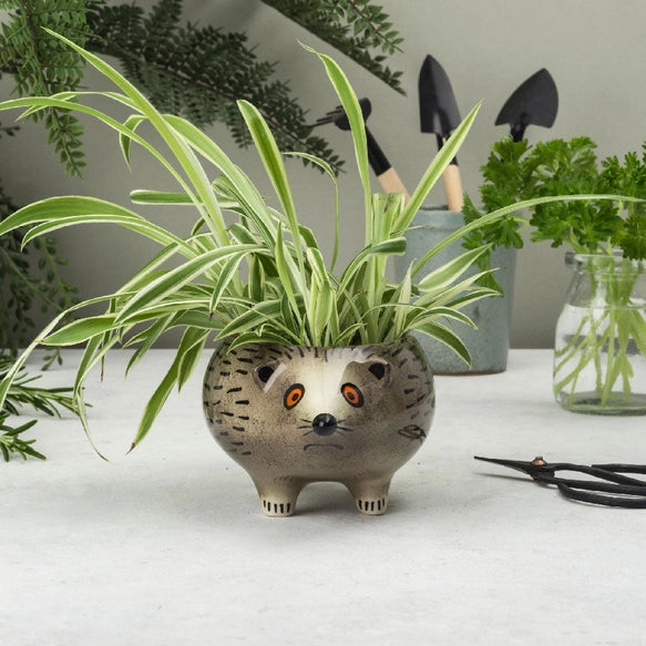 hedgehog-planter-hannah-turner