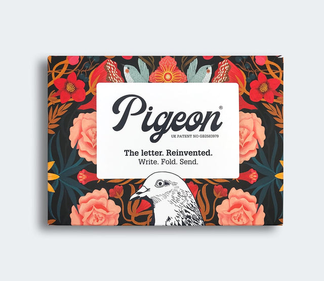 bright-beautiful-pigeon-letters-pigeon