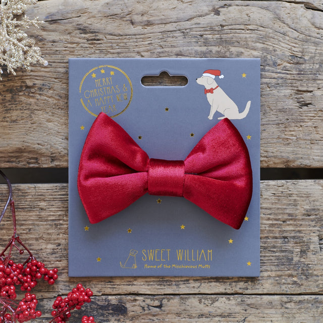 velvet-bow-tie-christmas-red-sweet-william
