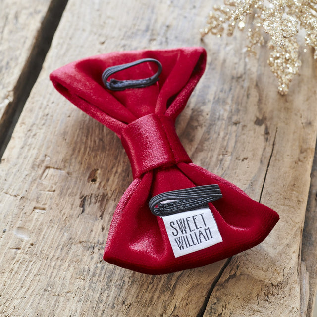 velvet-bow-tie-christmas-red-sweet-william