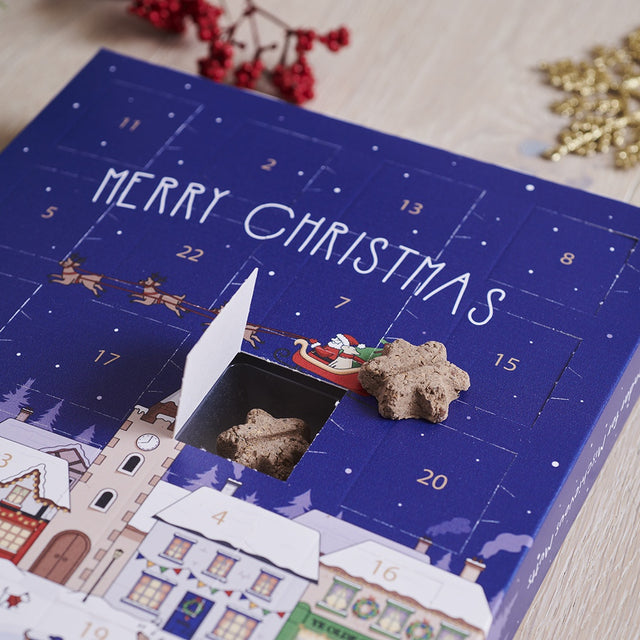 dog-treat-advent-calendar-sweet-william