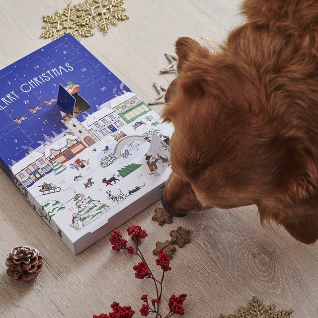 dog-treat-advent-calendar-sweet-william