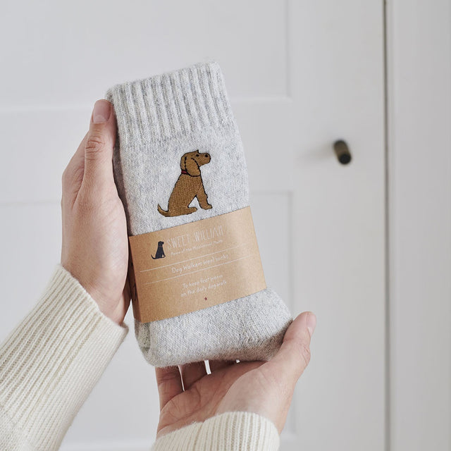 dog-walker-socks-golden-cocker-spaniel-sweet-william