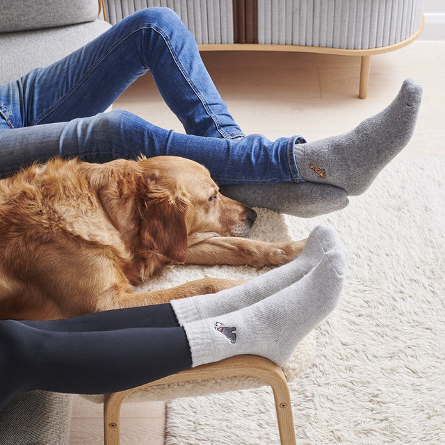 Dog Walker Socks: Golden Cocker Spaniel