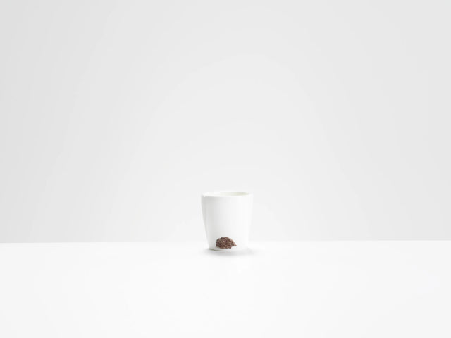 hedgehogs-eggcup-helen-beard