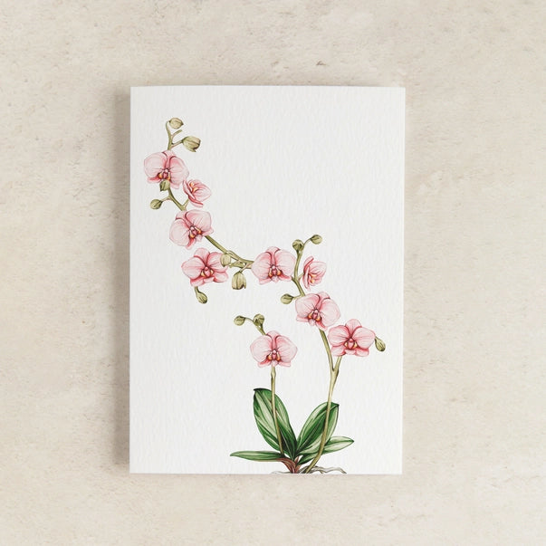 pink-floral-mini-watercolour-greeting-card-sophie-brabbins