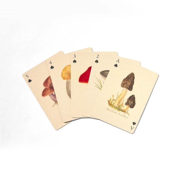 Playing Cards Set of Two Decks: Fungi - Roomytown - Daisy Chain Gift ...