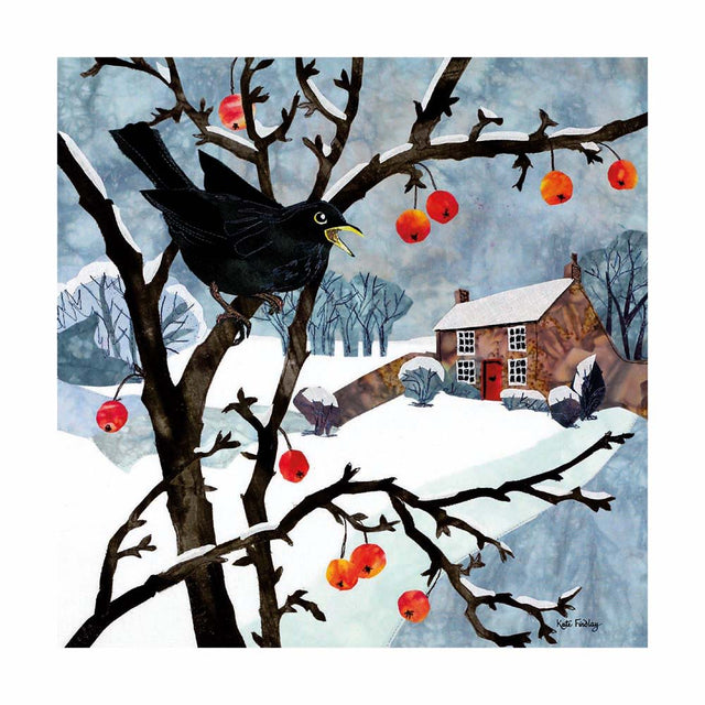 frosty-feathers-christmas-box-museums-galleries