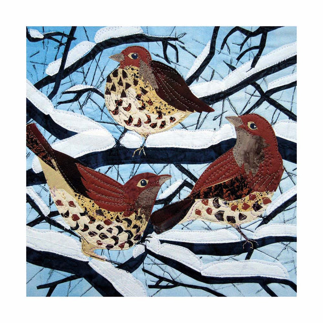 frosty-feathers-christmas-box-museums-galleries