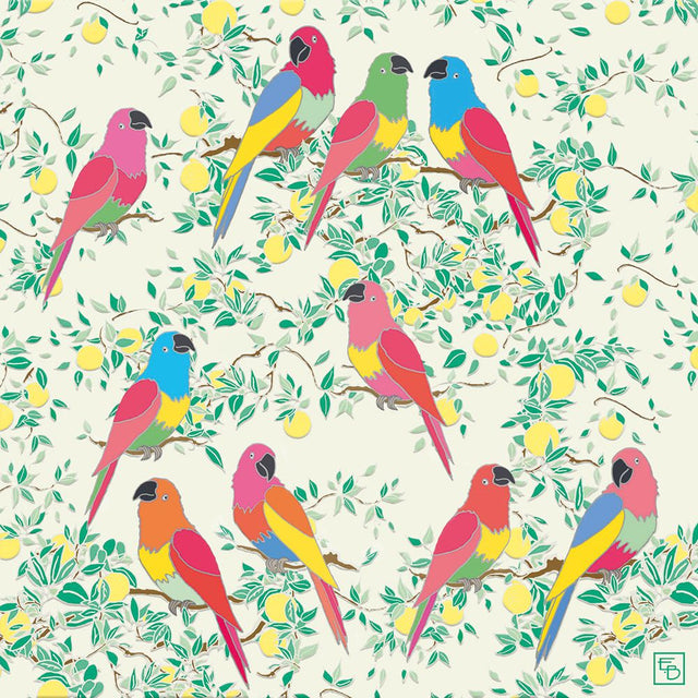 parrots-emily-burningham-greeting-card-museums-galleries