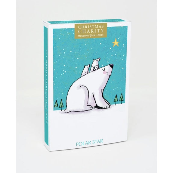 polar-star-charity-christmas-box-museums-galleries