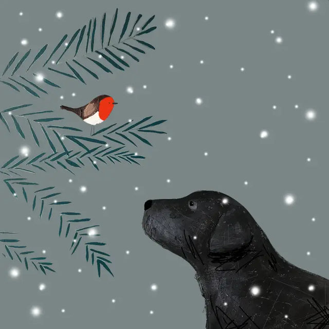 Robin and Black Labrador Christmas