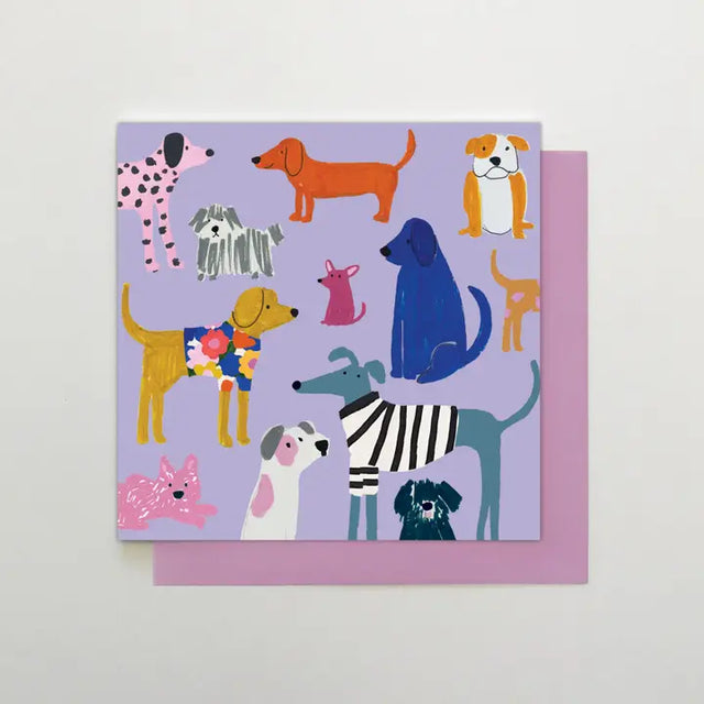 colourful-dogs-greeting-card-stop-the-clock
