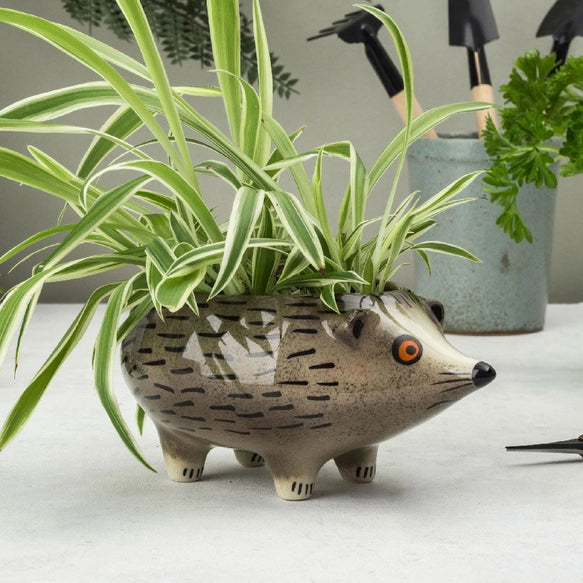 hedgehog-planter-hannah-turner