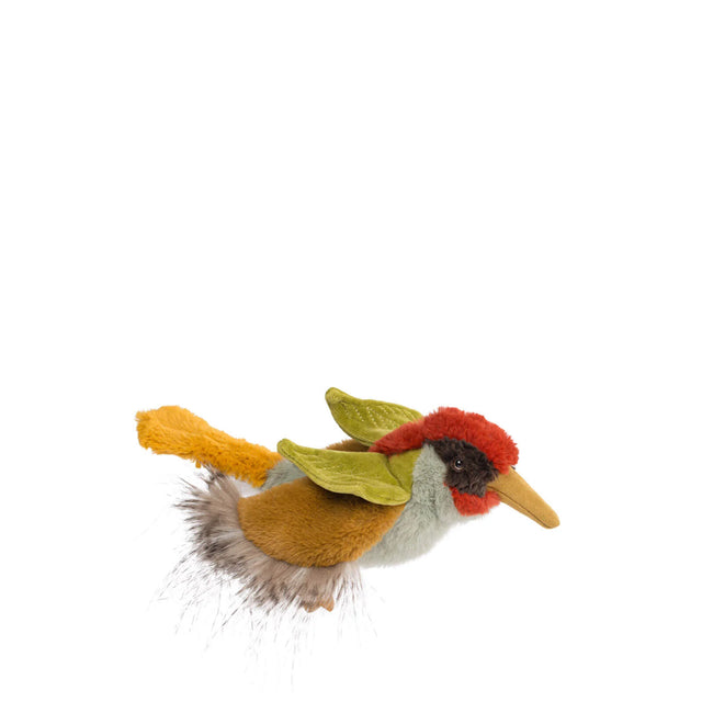 Green Woodpecker: Tout Autour Du Monde