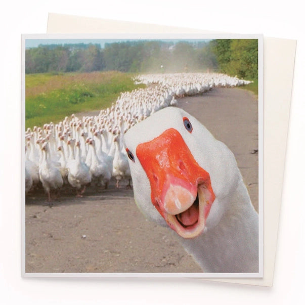 goose-army-1000-words-greeting-card-ustudio