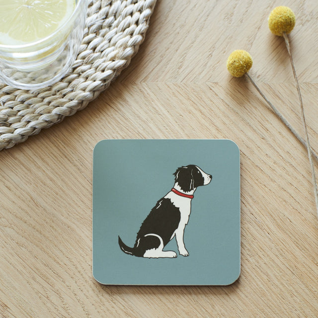 black-white-springer-spaniel-coaster-sweet-william