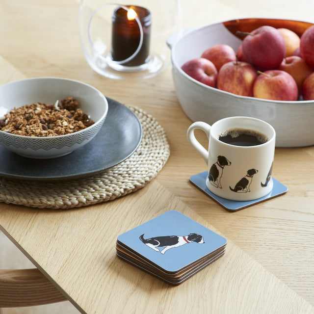 black-white-springer-spaniel-coaster-sweet-william