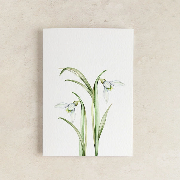 snowdrop-mini-watercolour-greeting-card-sophie-brabbins