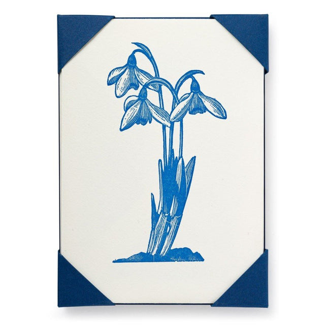 snowdrop-letterpress-notecards-archivist-gallery