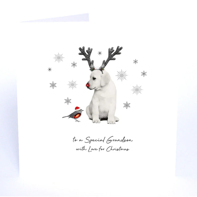 special-grandson-animal-crackers-christmas-card-five-dollar-shake