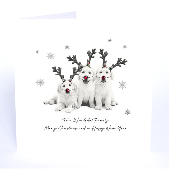 wonderful-family-animal-crackers-christmas-card-five-dollar-shake