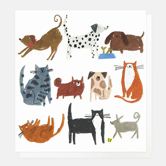 cats-and-dogs-greeting-card-caroline-gardner