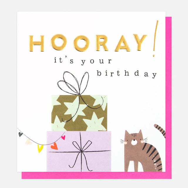 hooray-its-your-birthday-greeting-card-caroline-gardner