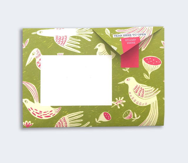 fig-feather-pigeon-letters-pigeon