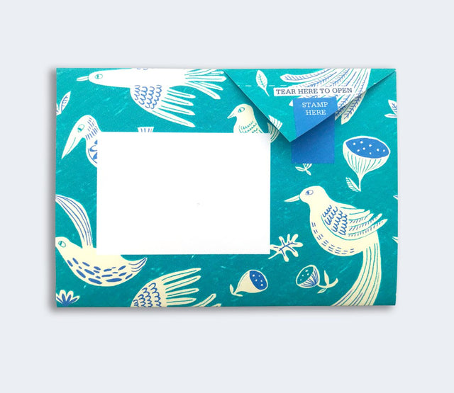 fig-feather-pigeon-letters-pigeon