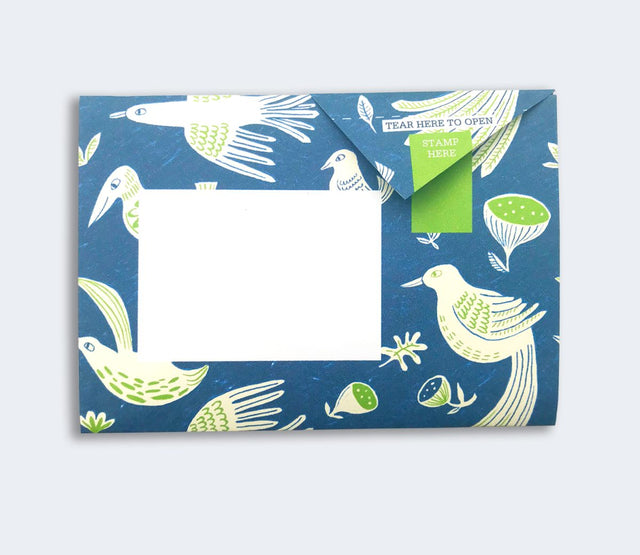 fig-feather-pigeon-letters-pigeon