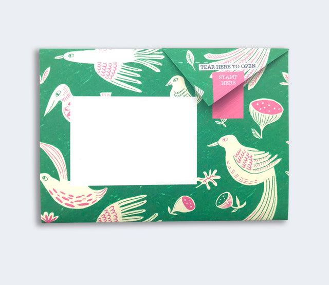 fig-feather-pigeon-letters-pigeon