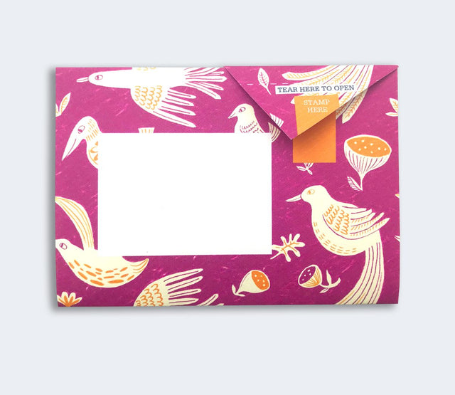 fig-feather-pigeon-letters-pigeon