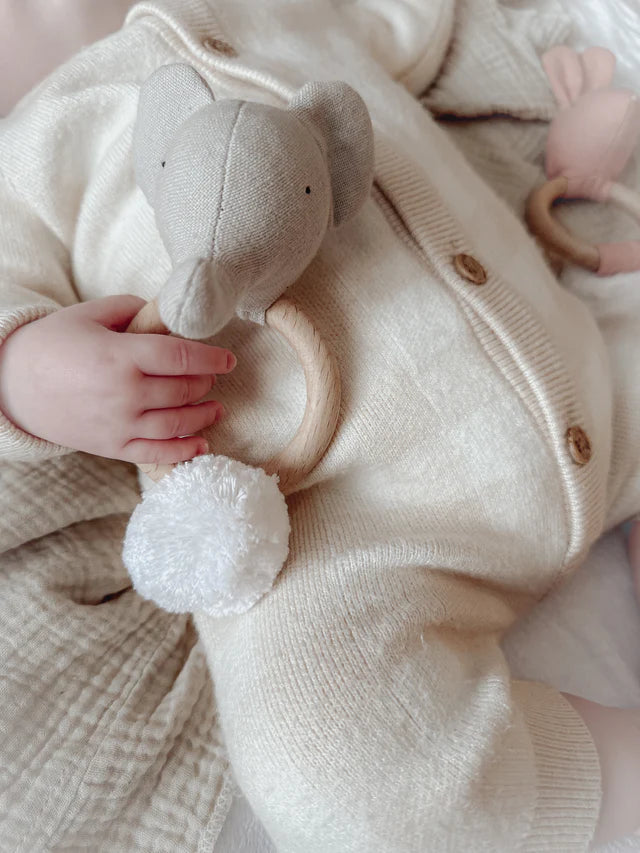 the-teethers-elephant-mr-pickles