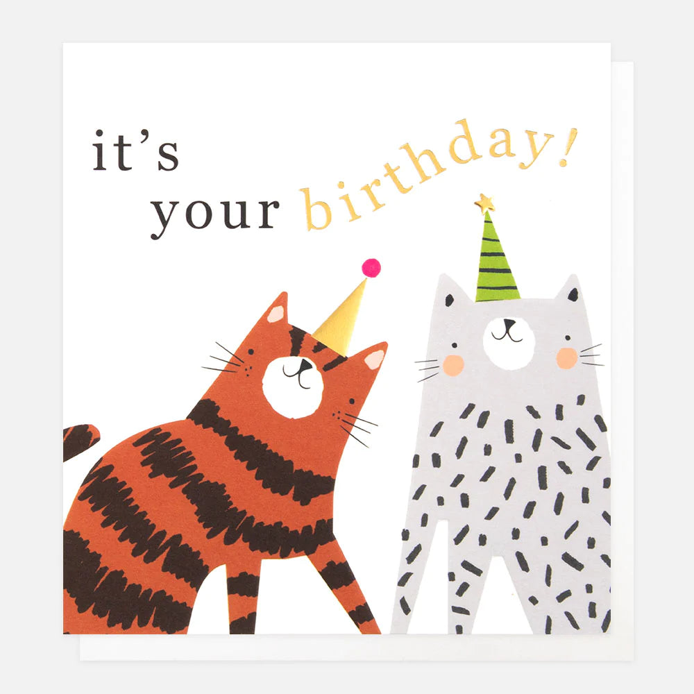 Cats in Party Hats Birthday Greeting Card - Caroline Gardner - Daisy ...