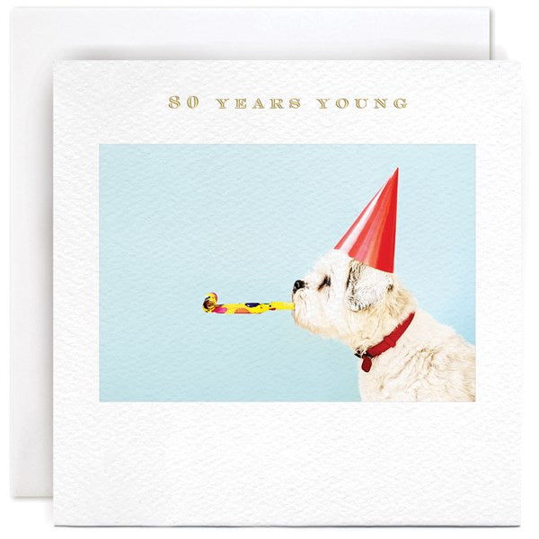 party-dog-80-years-young-greeting-card-susan-ohanlon
