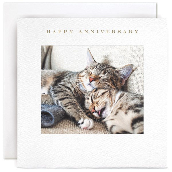 loving-cats-anniversary-greeting-card-susan-ohanlon