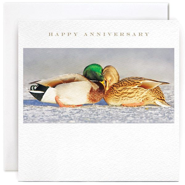 loving-ducks-anniversary-greeting-card-susan-ohanlon