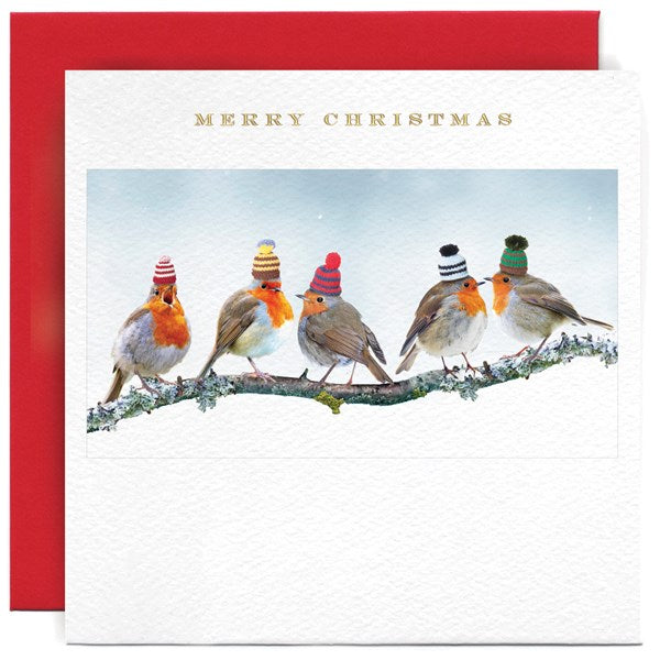 festive-robins-in-hats-greeting-card-susan-ohanlon