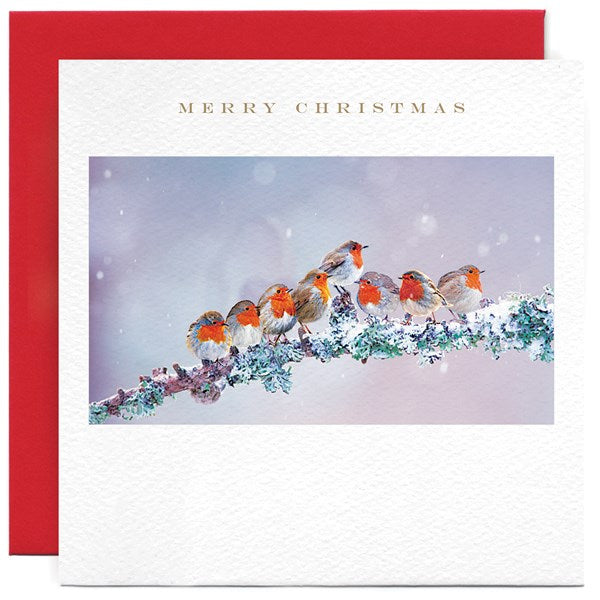 festive-robins-on-branch-greeting-card-susan-ohanlon