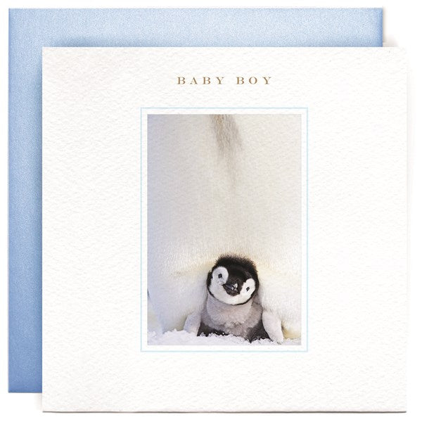 penguin-chick-baby-boy-greeting-card-susan-ohanlon