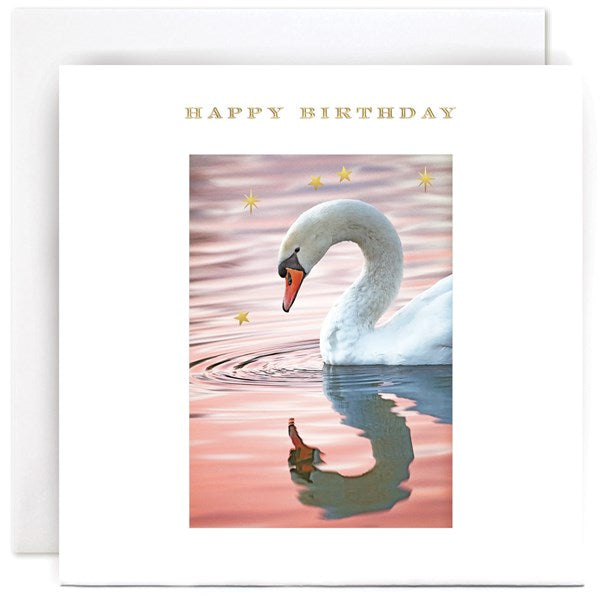 swan-with-stars-birthday-greeting-card-susan-ohanlon