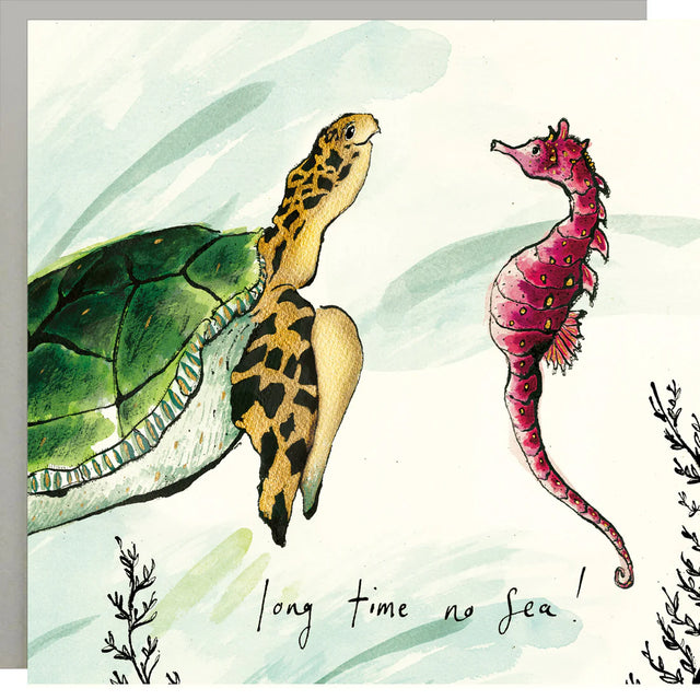 long-time-no-sea-card-anna-wright