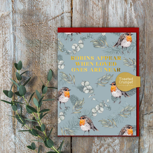 Robins Appear - Mini Moments