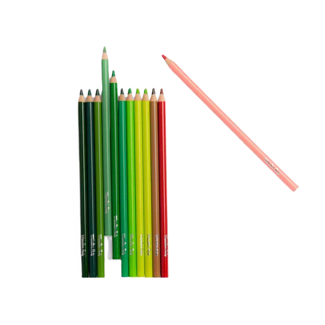 Colouring Pencils: Nature - Moulin Roty