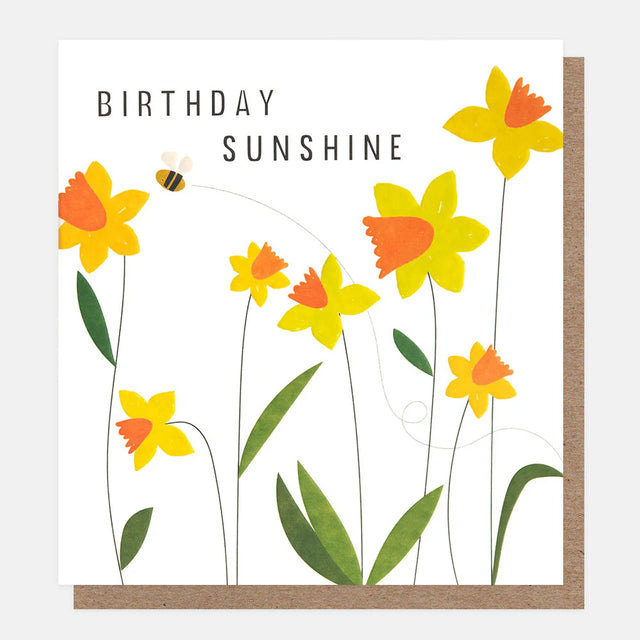 birthday-sunshine-greeting-card-caroline-gardner