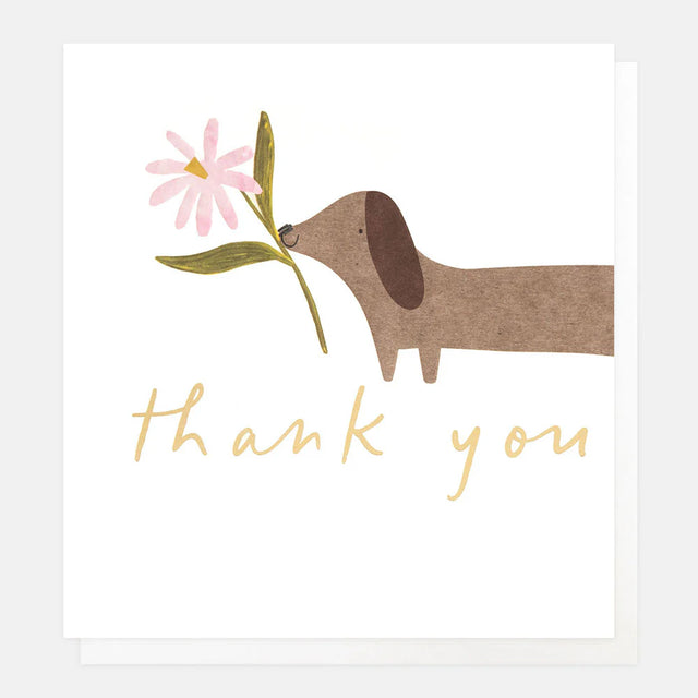 sausage-dog-flower-thank-you-greeting-card-caroline-gardner