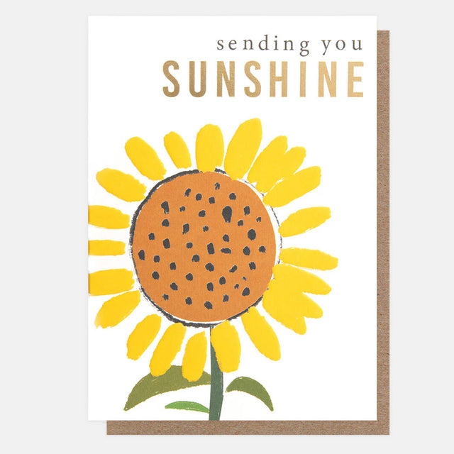 sending-you-sunshine-greeting-card-caroline-gardner