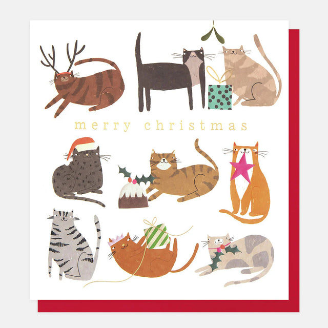 festive-cats-greeting-card-caroline-gardner