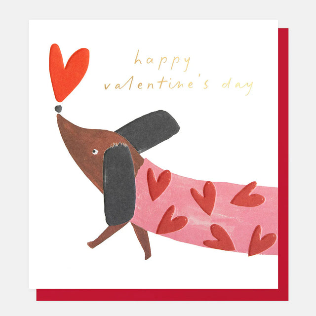 valentines-sausage-dog-greeting-card-caroline-gardner